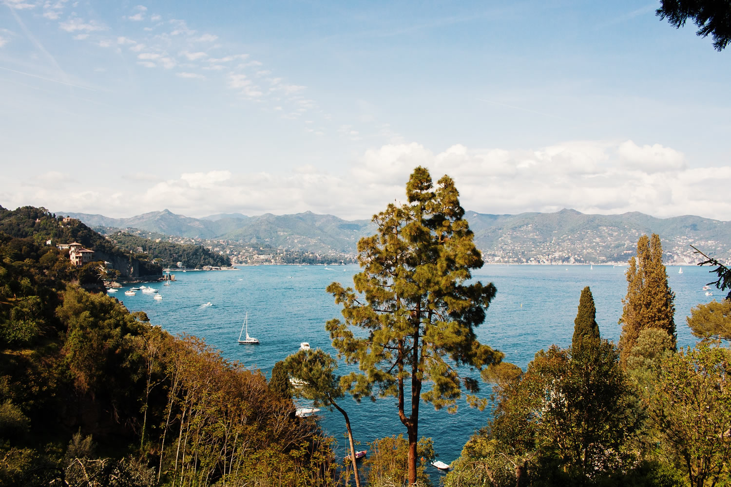 Gulf of Portofino