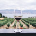 Wine Tasting in Tuscany