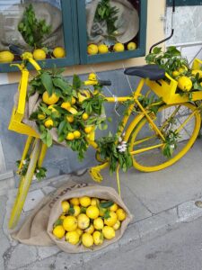 Art of lemons